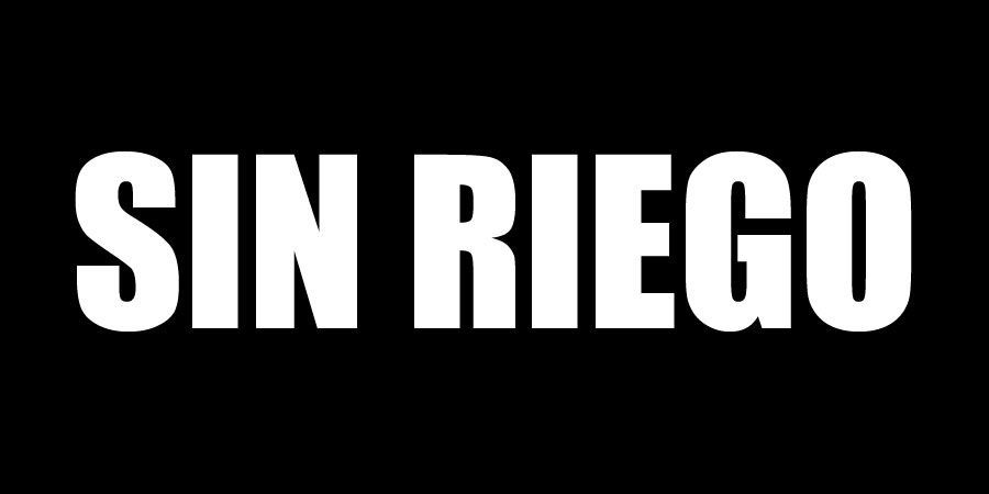 PLANTAS PRESERVADAS SIN RIEGO
