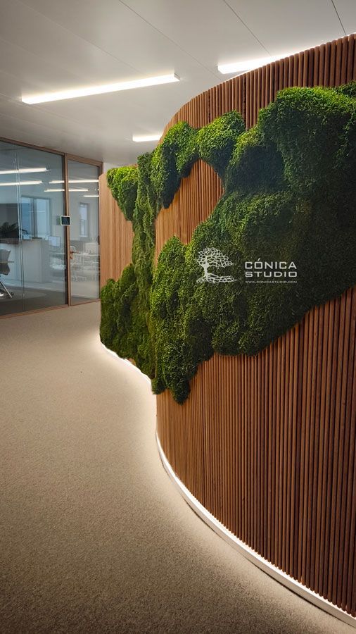 jardín vertical preservado con forma orgánica