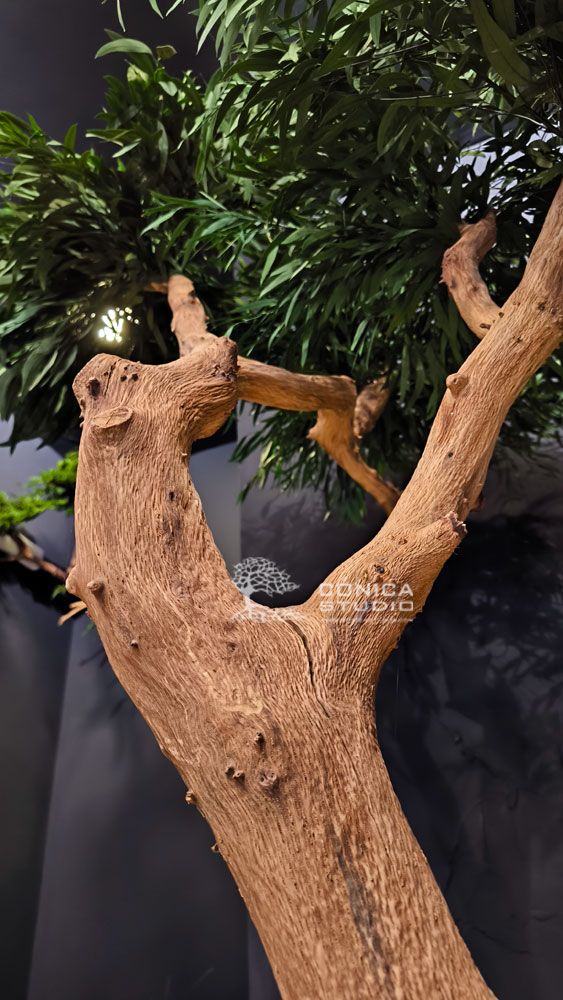 arbol preservado tronco curvado