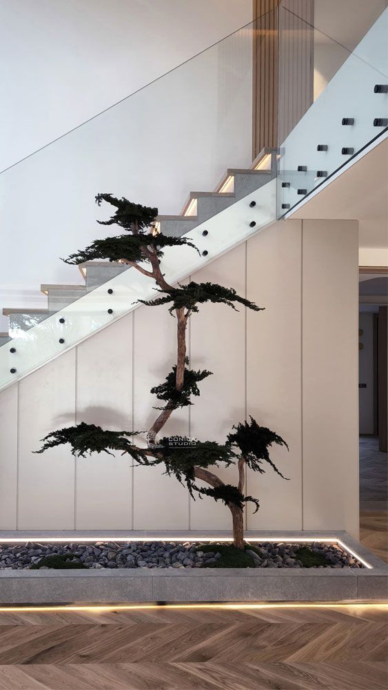 macrobonsai preservado