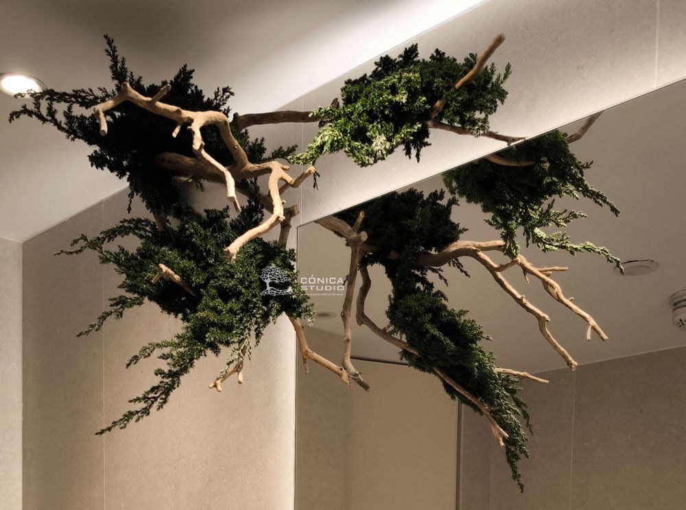 bonsai preservado instalado en pared.