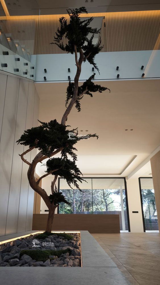 ARBOL PRESERVADO