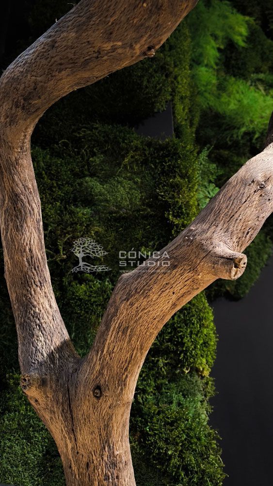 jardin interior