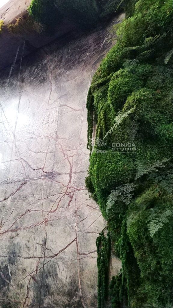 jardín vertical de musgo y plantas preservadas