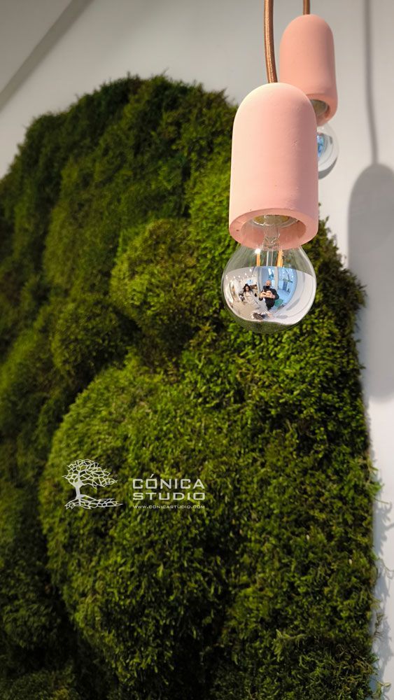 jardín vertical preservado con forma circular
