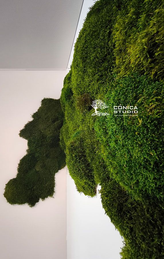 jardín vertical de musgo con forma orgánica
