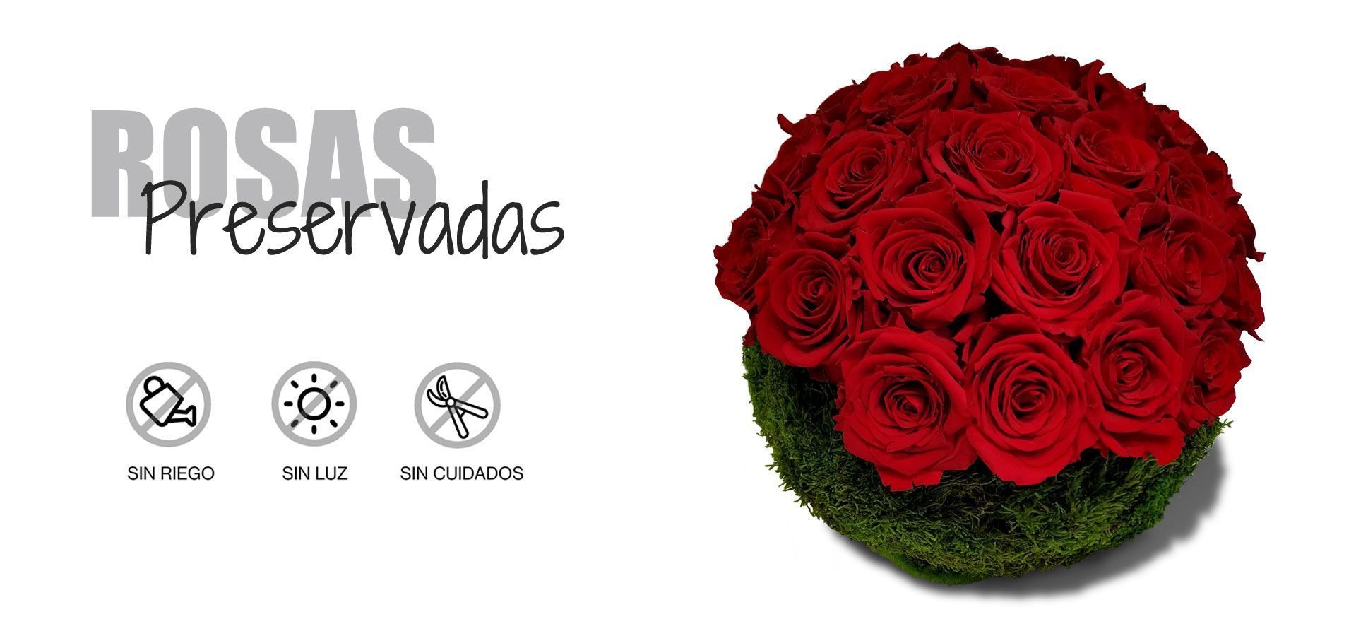 ROSAS-PRESERVADAS-portada